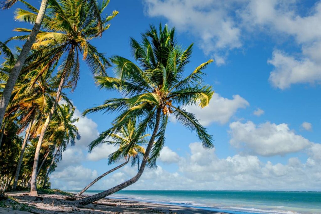 Martinique ou Guadeloupe : comment choisir